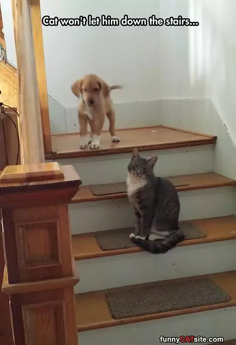 You Shall Not Pass