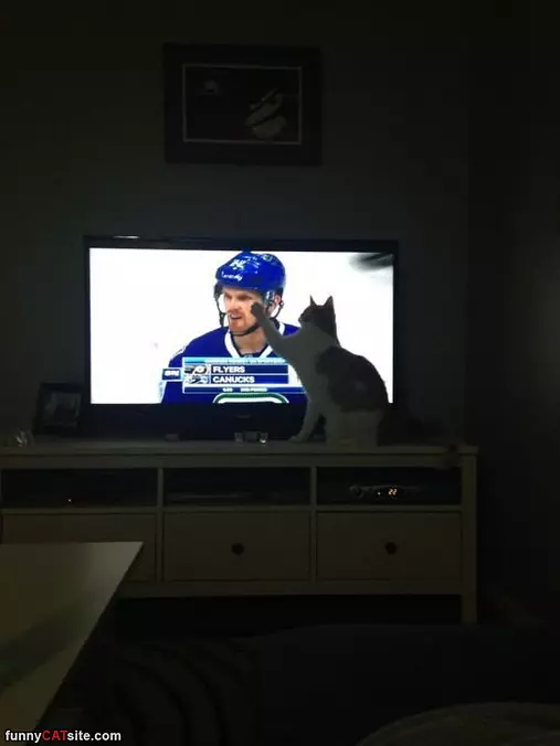 I Love Hockey