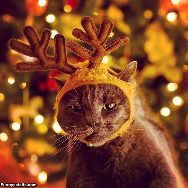 Not A Fan Of My Hat