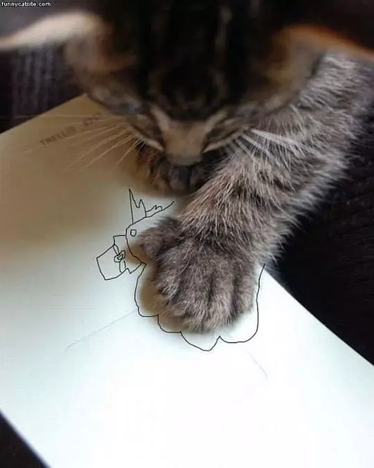 Cat Drawing