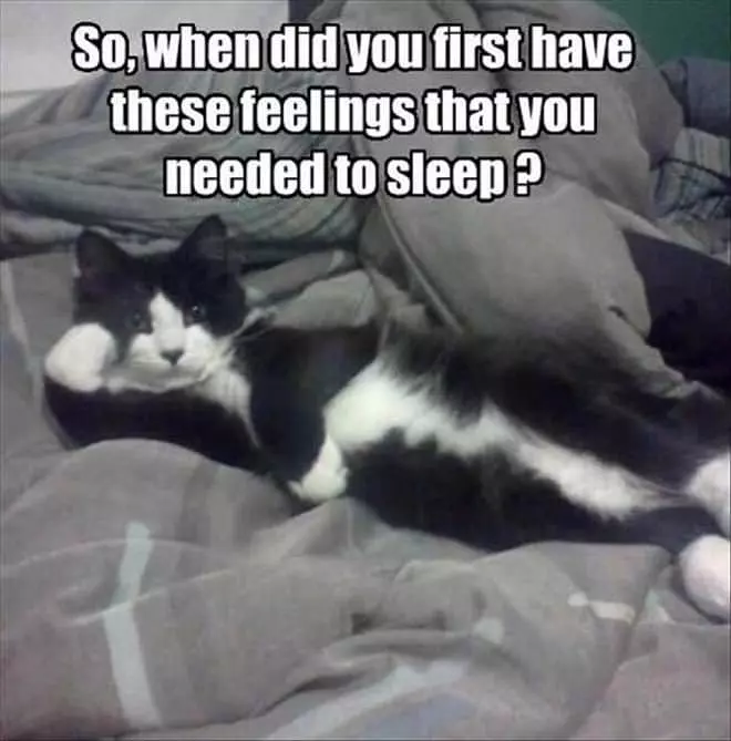 Needed Sleep Huh