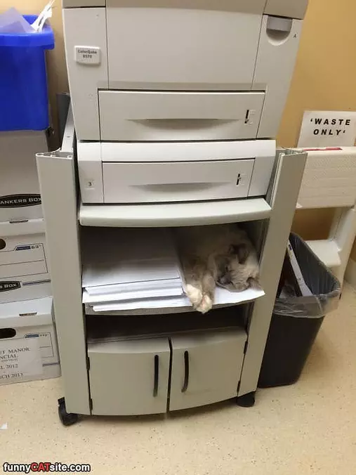 This Is My Spot