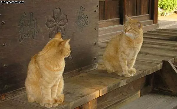 Just Like A Mirror