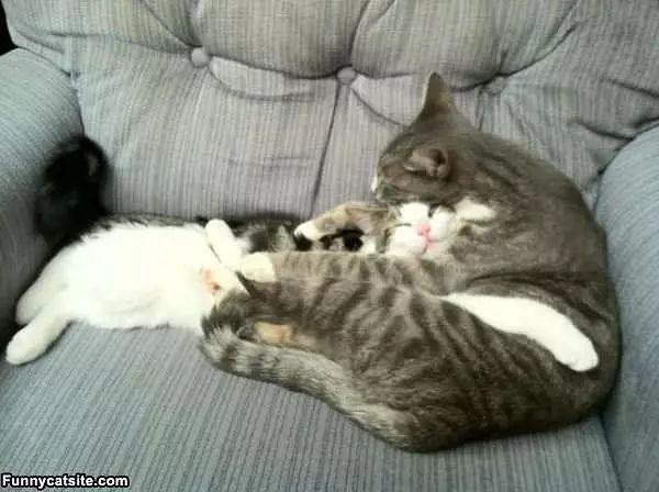We Sleeps Funny