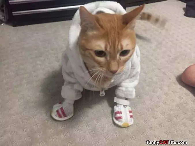 Ready For The Gym