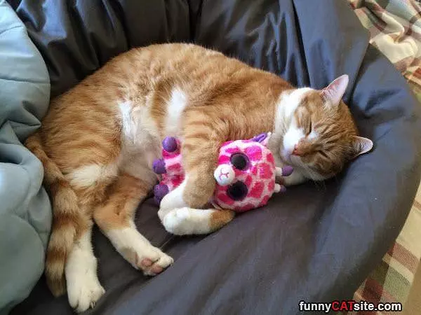Cuddling Up