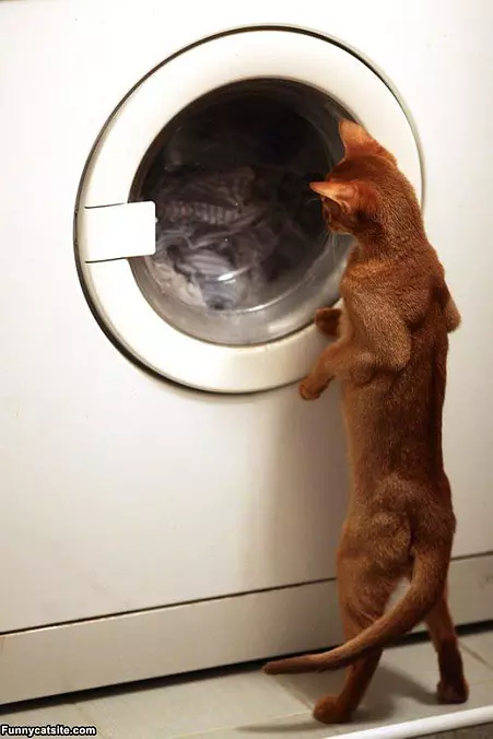 Whats Happening In There
