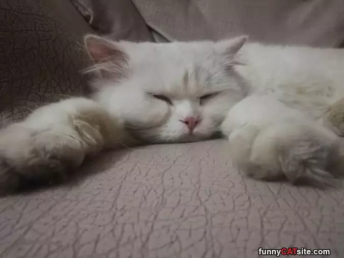 Just Relaxing Here
