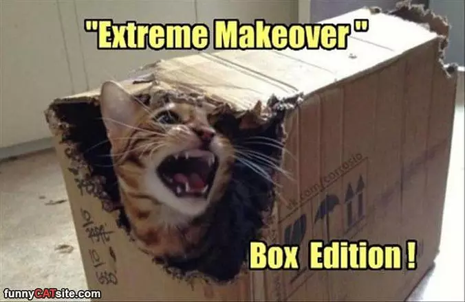 Extreme Makeover