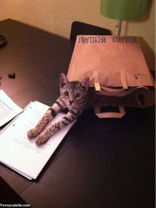 Reuse