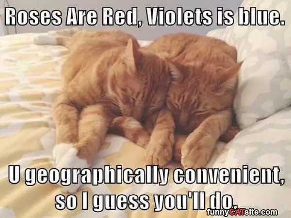 Nice Poem