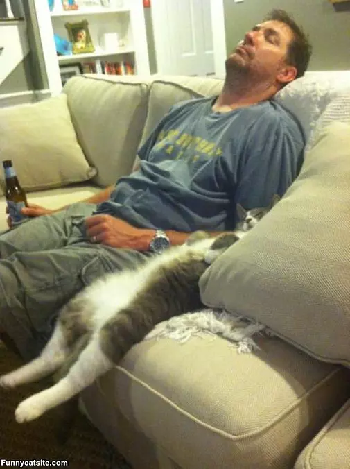 Hanging With Kitty