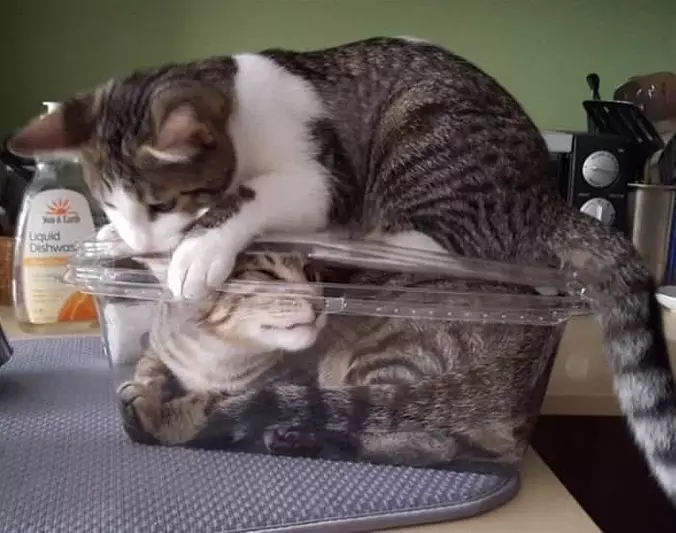 Getting Out Of The Container