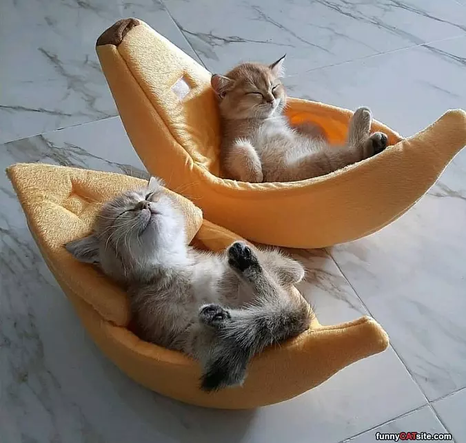 We Are So Chill