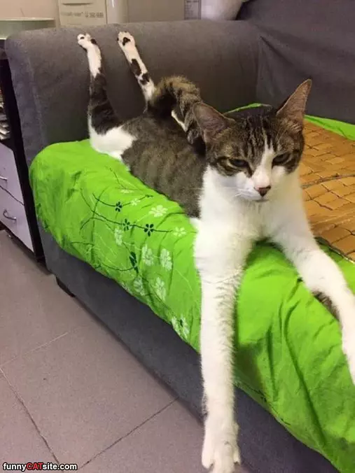 I Sits How I Sits