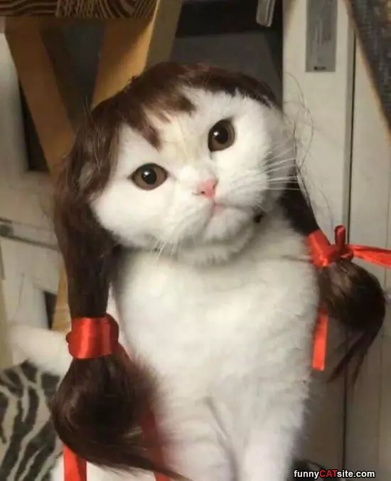 I Have Had Enough Of Today