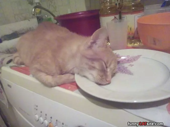 Resting Here