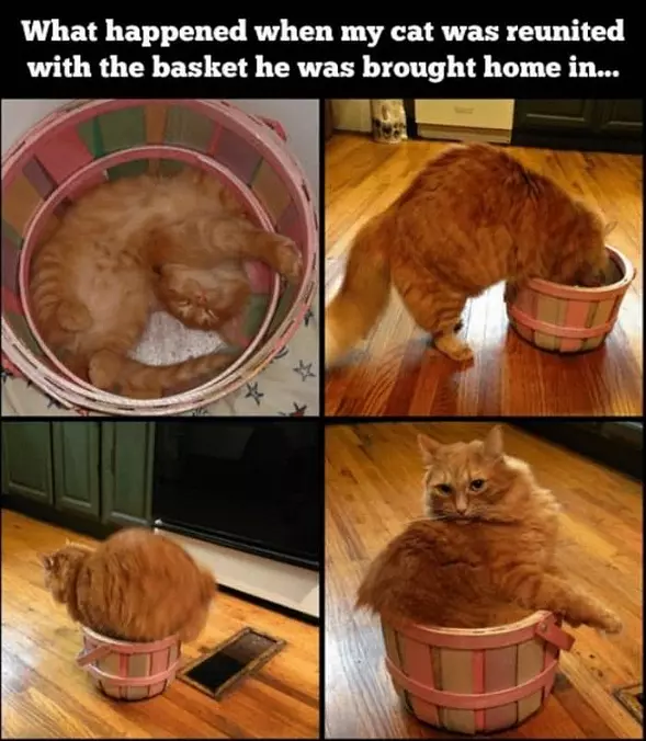 How Come You Shrunk My Bed