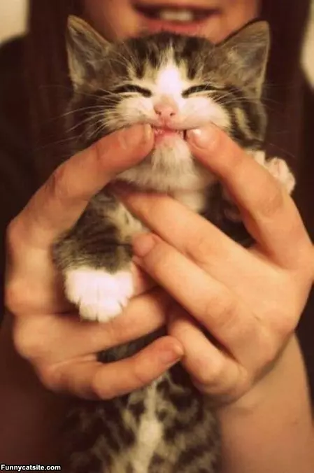 Smile And Say Cheeeeese
