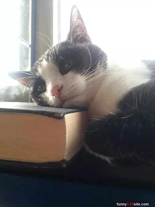 This Book Was Boring