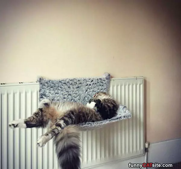 Found My Spot