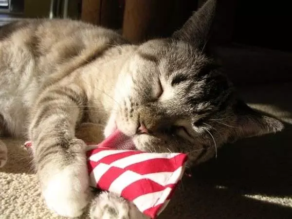 Lick