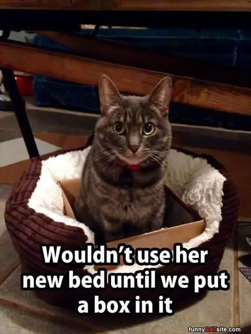 My New Bed