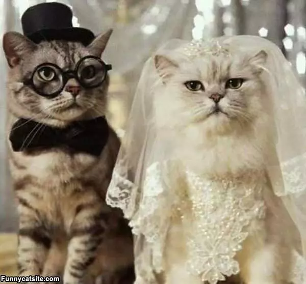Husband And Wife
