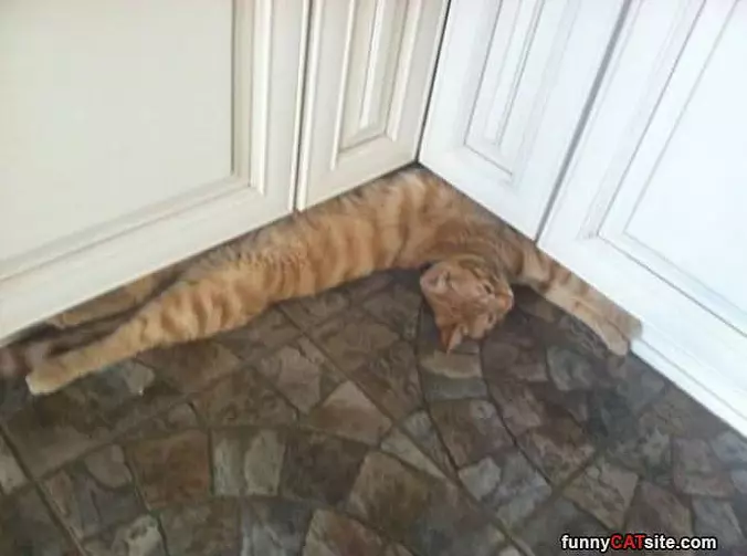 Hanging On The Floor