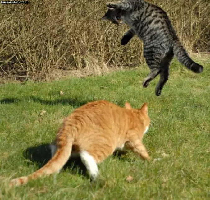 High Jump