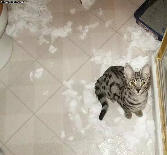 Tp Fun