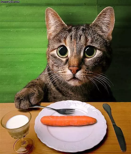 No Like Carrots