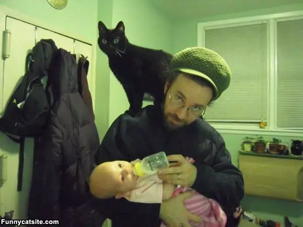 I The King Cat