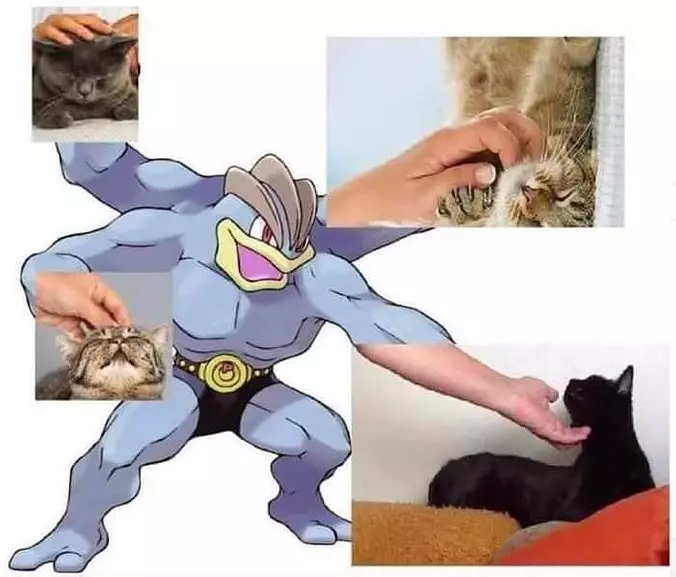 Pet All The Kitties