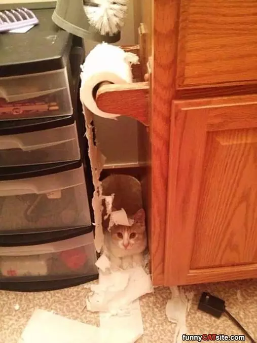 It Wasnt Me I Swear