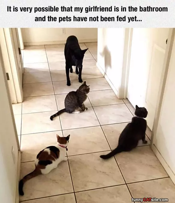 Had To Go To The Bathroom