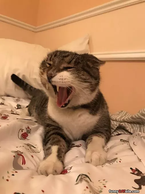 Haaaaaaa
