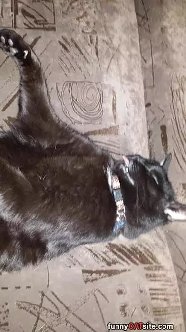 Tongue Out Sleeper