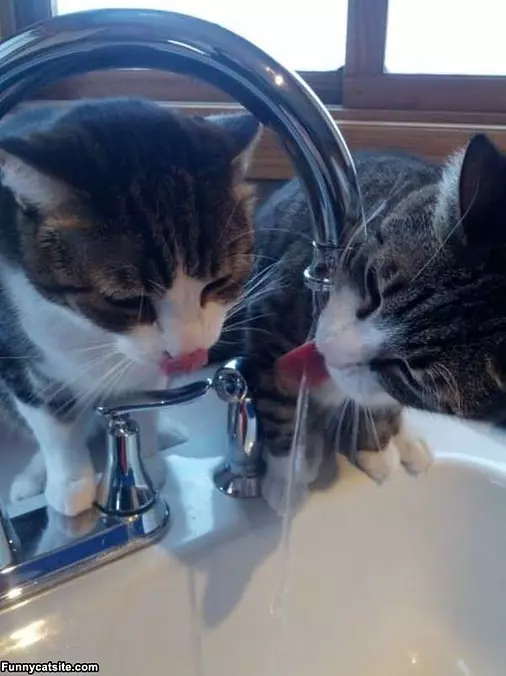 Both Of Us Are Sharing