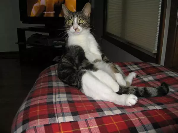 Mr Z Relaxing