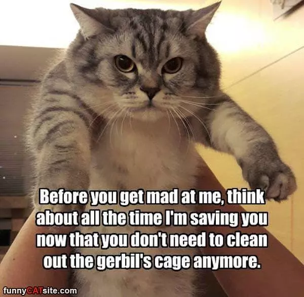 Before You Get Mad