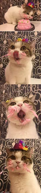 Nommm Nom Nomm Nom Cake