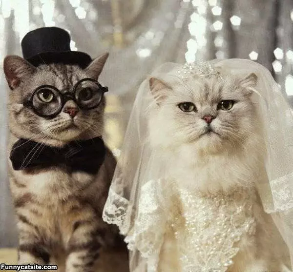 Married