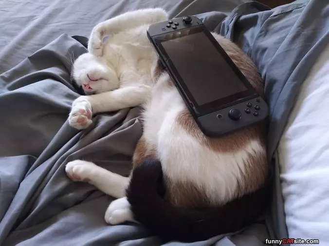 This Is Lazy Time