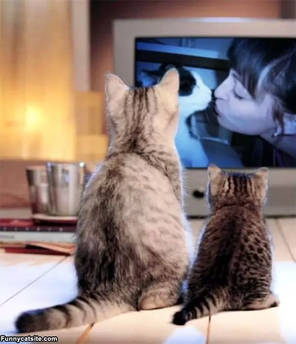 Watching A Movie
