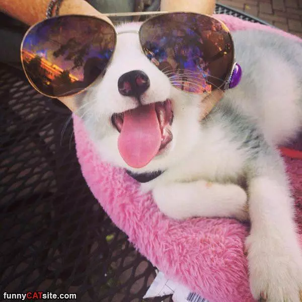 Hey Wazzzzzuppp
