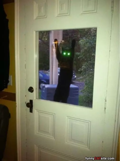I Want In Right Now