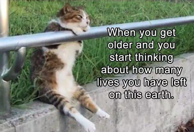 How Many Lives Ar Left