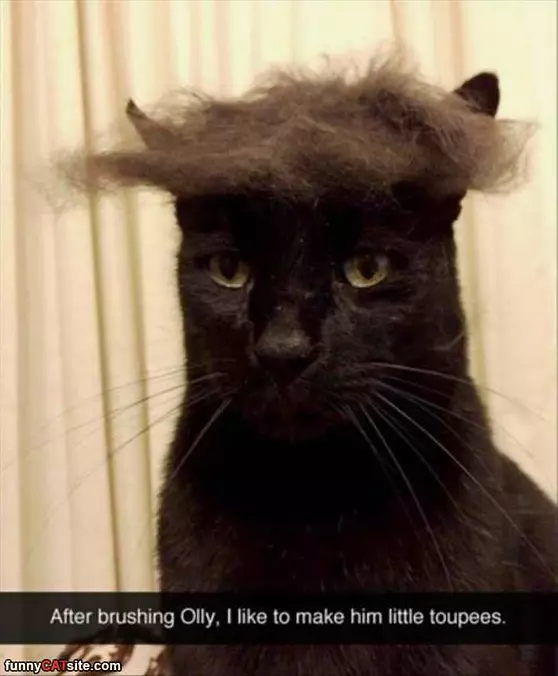 After A Brush
