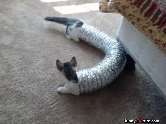 I Am So Long